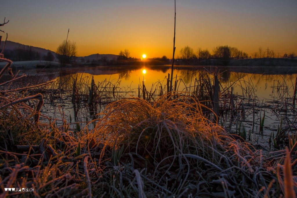 Sonnenaufgang im Furttal