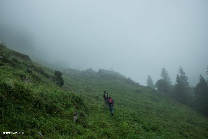 Die Alp im Nebel