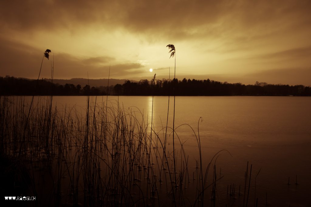 Winter am Katzensee
