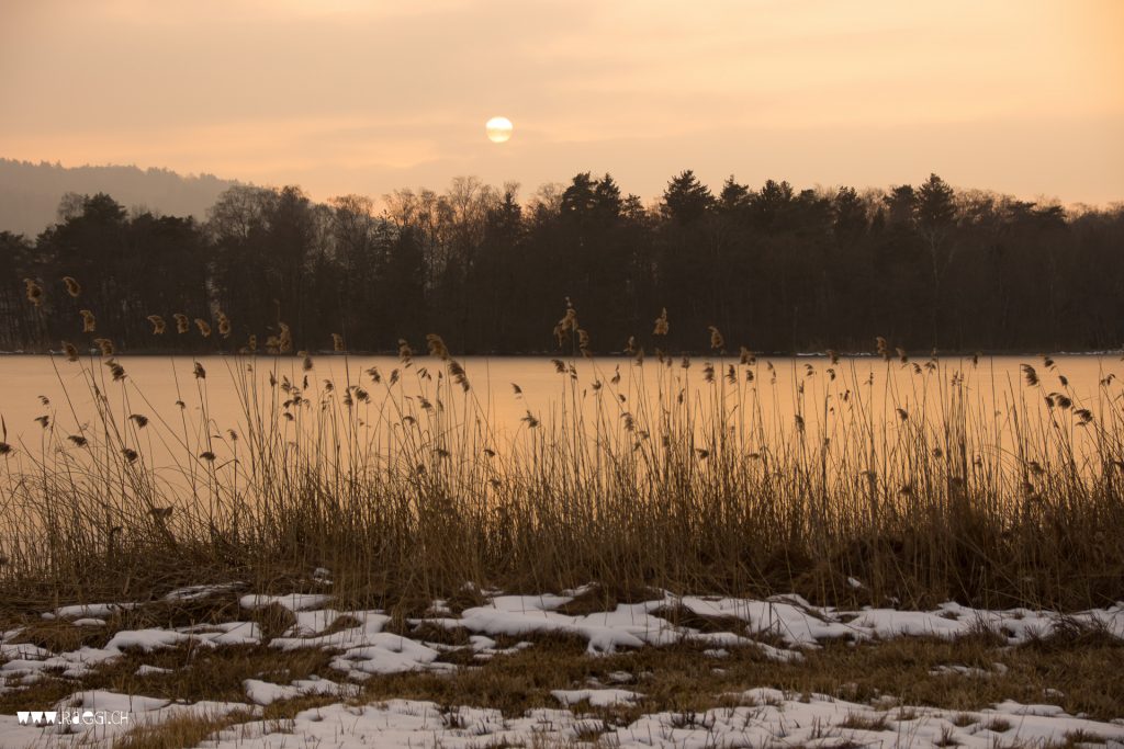 gefrorener Katzensee