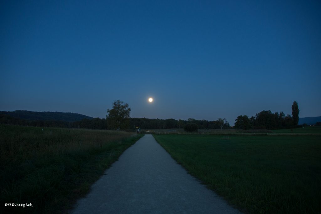 Mondsüchtig
