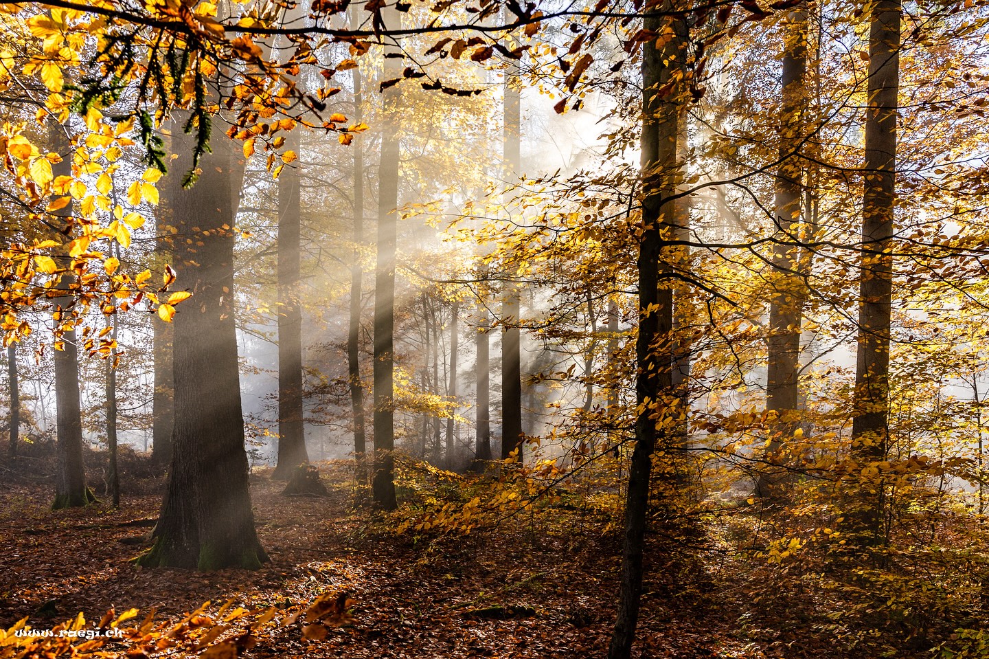 „Der Herbst Ihres Lebens ist für Dinge gedacht, die Sie sonst vielleicht auf morgen verschieben würden.“