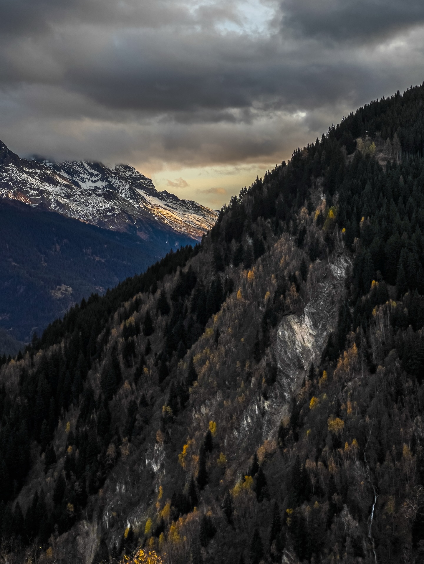 „Die Natur hat keine Eile und doch ist alles vollbracht.“