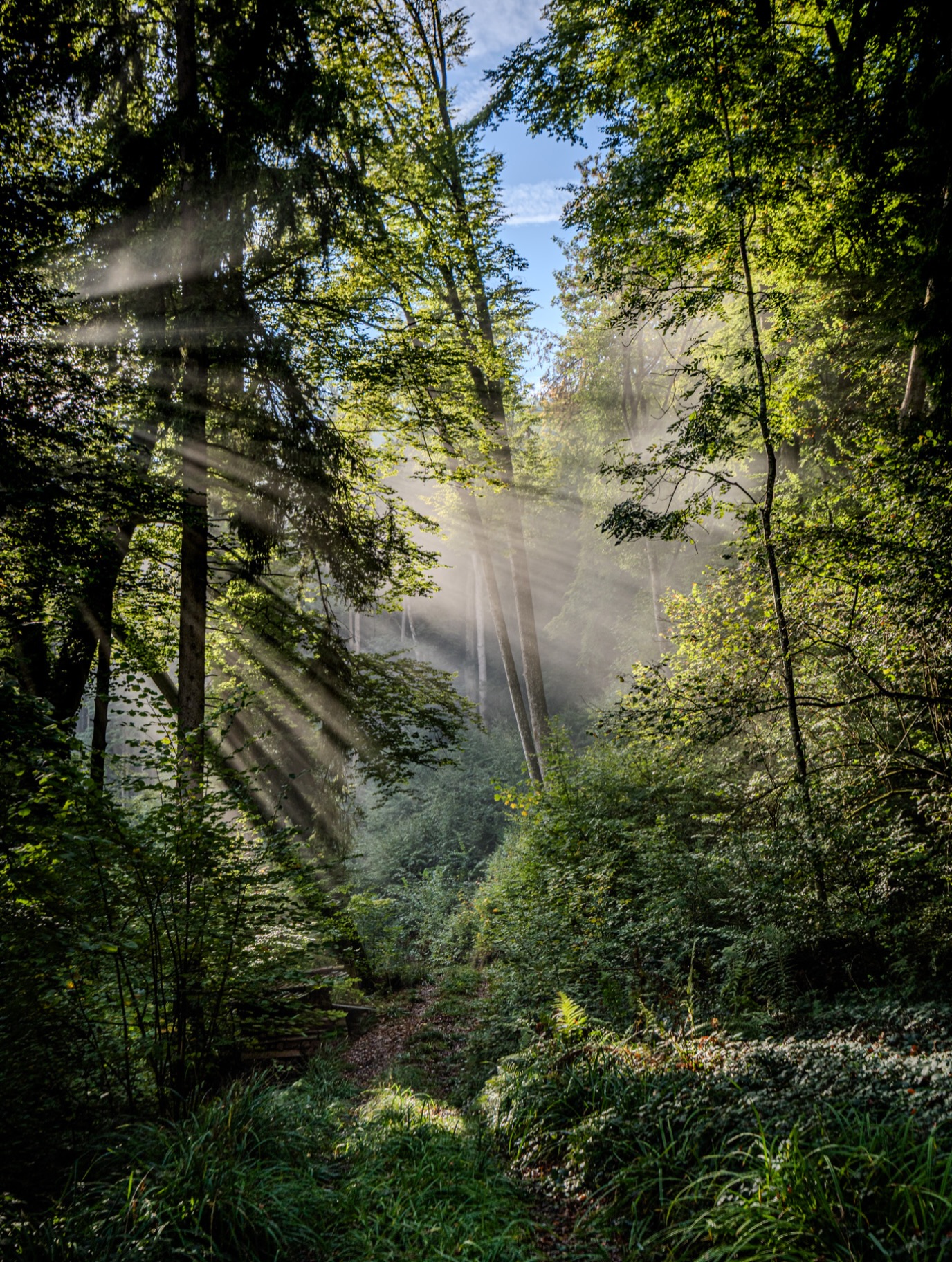 „Die Natur ist zugleich Buch und Schrift, Märchen, Gemälde und Lied.”
Johann Wolfgang von Goethe