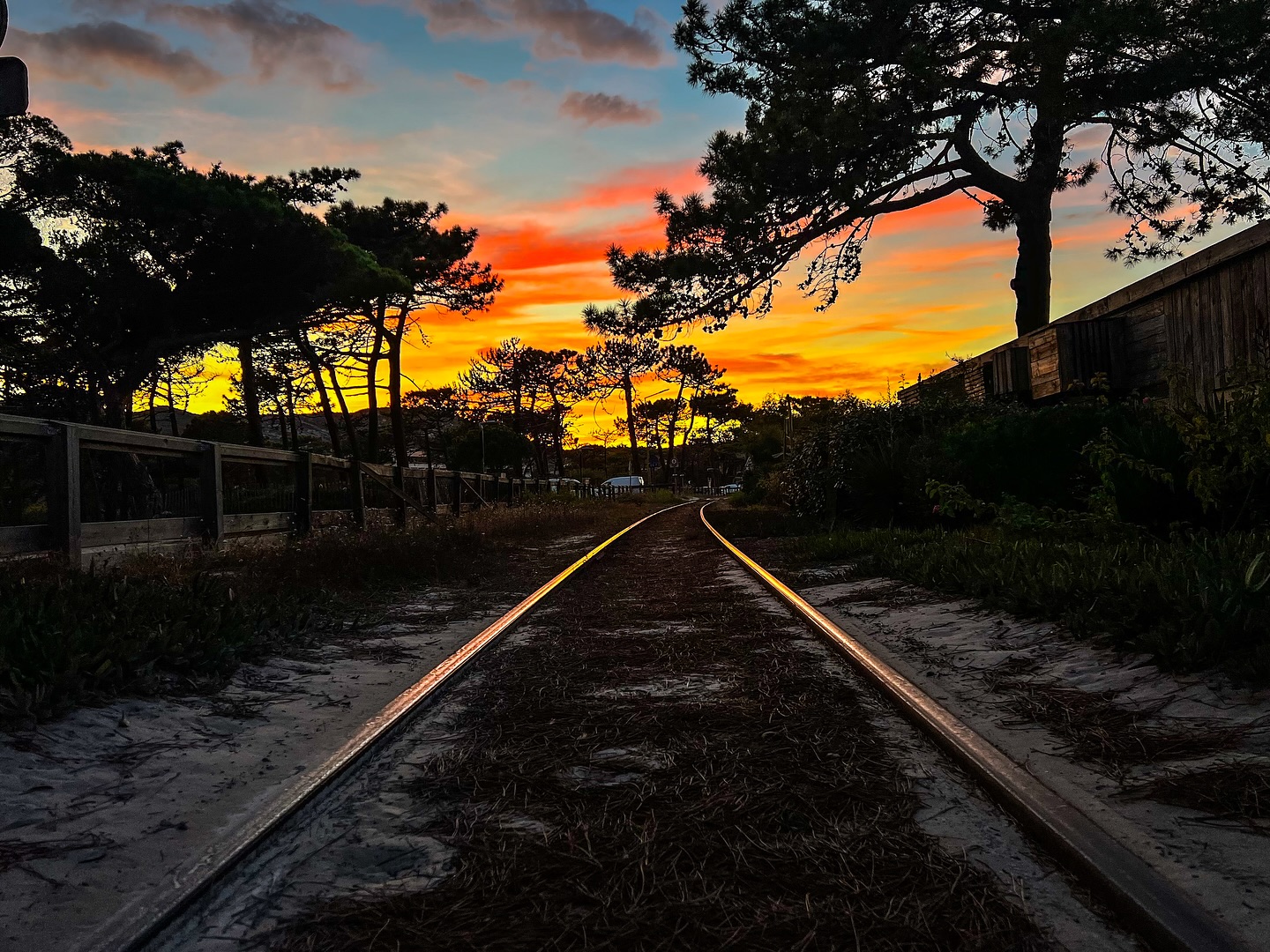 Den versäumten Augenblick bringt kein Wunsch zurück