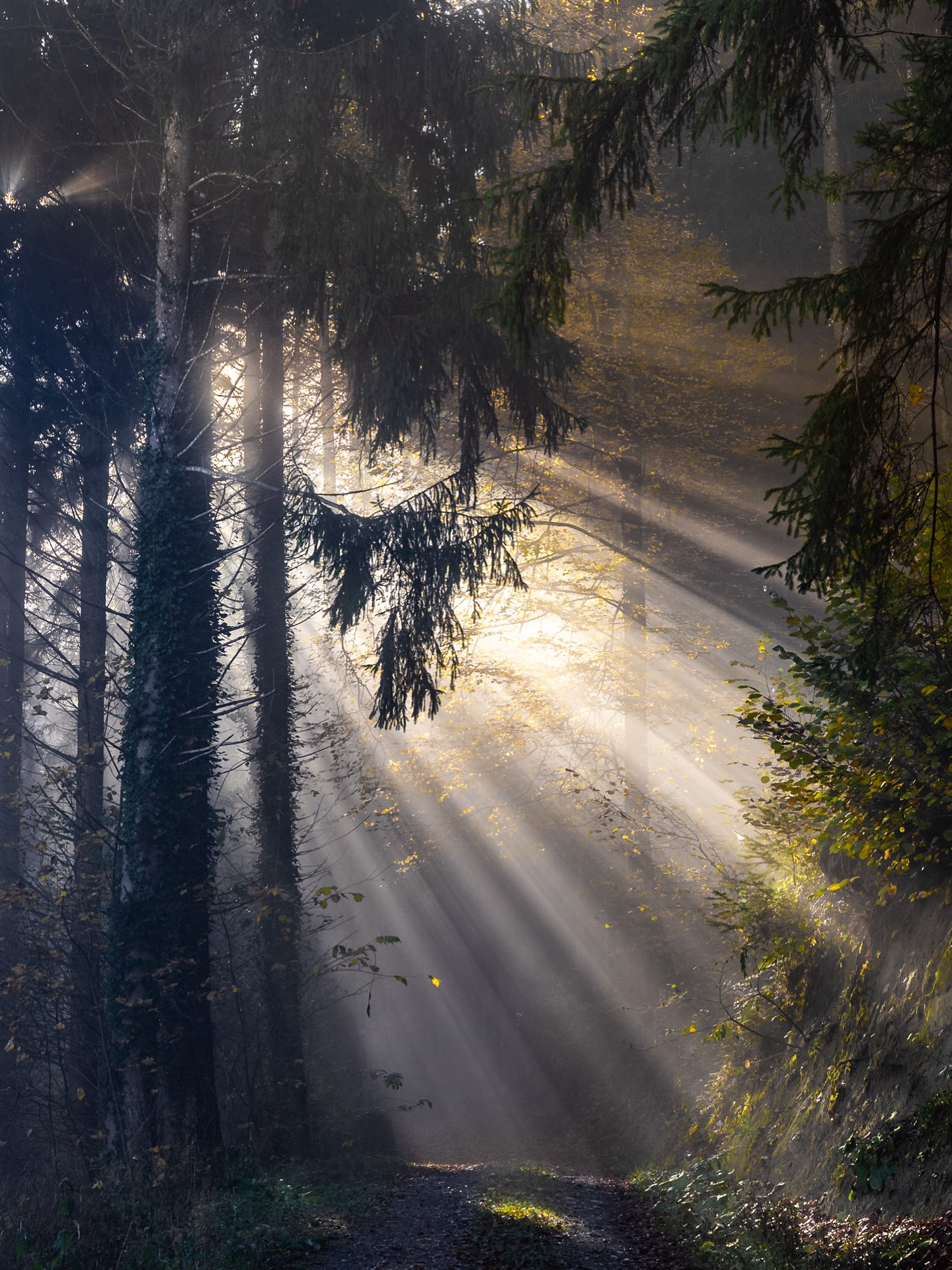 „Es gibt nur zwei Fehler, die man auf dem Weg zur Wahrheit machen kann: Nicht den ganzen Weg gehen und nicht beginnen.“