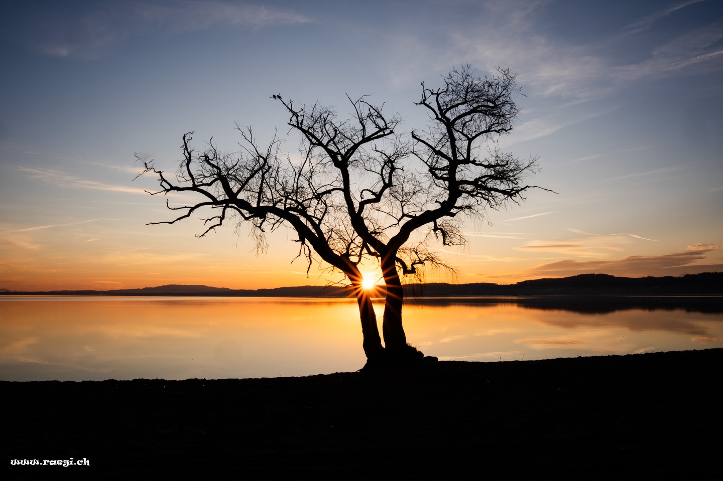 Watch a sunrise at least once a day.
(Phil Dunphy in Modern Family)