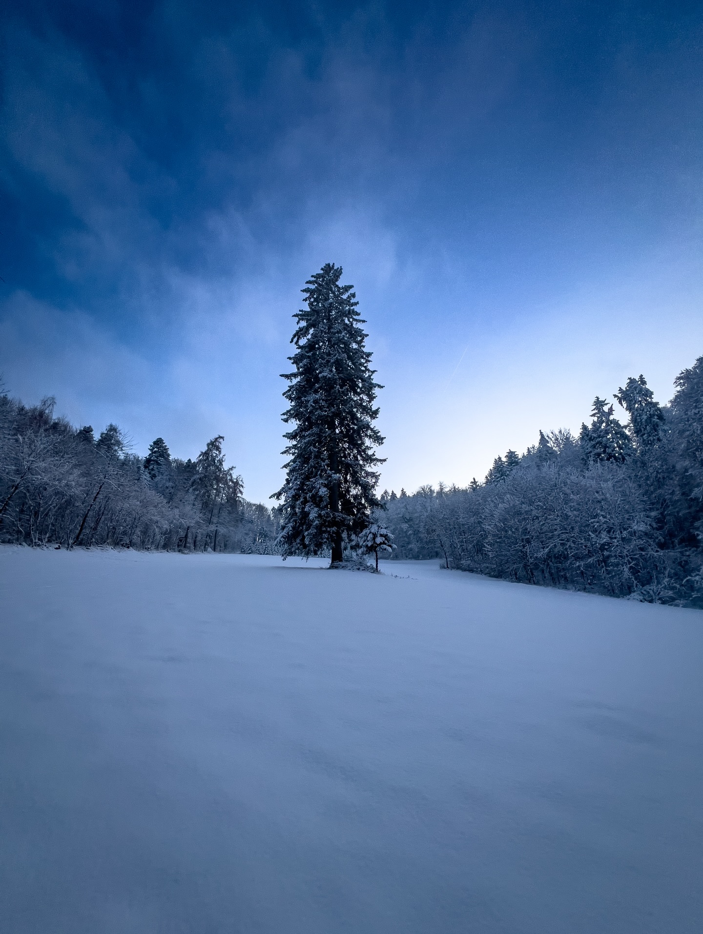 „Um die Schönheit einer Schneeflocke zu erkennen, muss man in der Kälte stehen.“  von Aristoteles